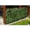 Umelý živý plot HEDERA FLEXI 200 x 100 cm